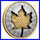 Canada_2024_20_Super_Incuse_SML_Silver_99_99_Maple_Leaf_Coin_Pure_01_doka