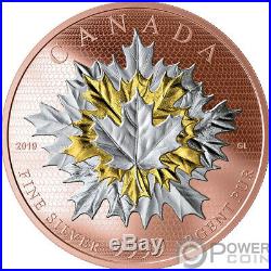 MAPLE LEAVES IN MOTION 5 Oz Silver Coin 50$ Canada 2019