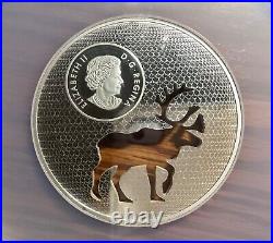 NGC PR70 Canada 2017 Woodland Caribou Silver Large Proof Silver Coin TopTop Pop