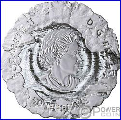POLAR BEARS Mother and Cub 5 Oz Silver Coin 50$ Canada 2019