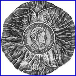 Remembrance Day 2020 Canada $20 Fine Silver Coin