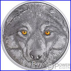 WOLF In The Eyes Of The Glow In The Dark Silver Coin 15$ Canada 2017